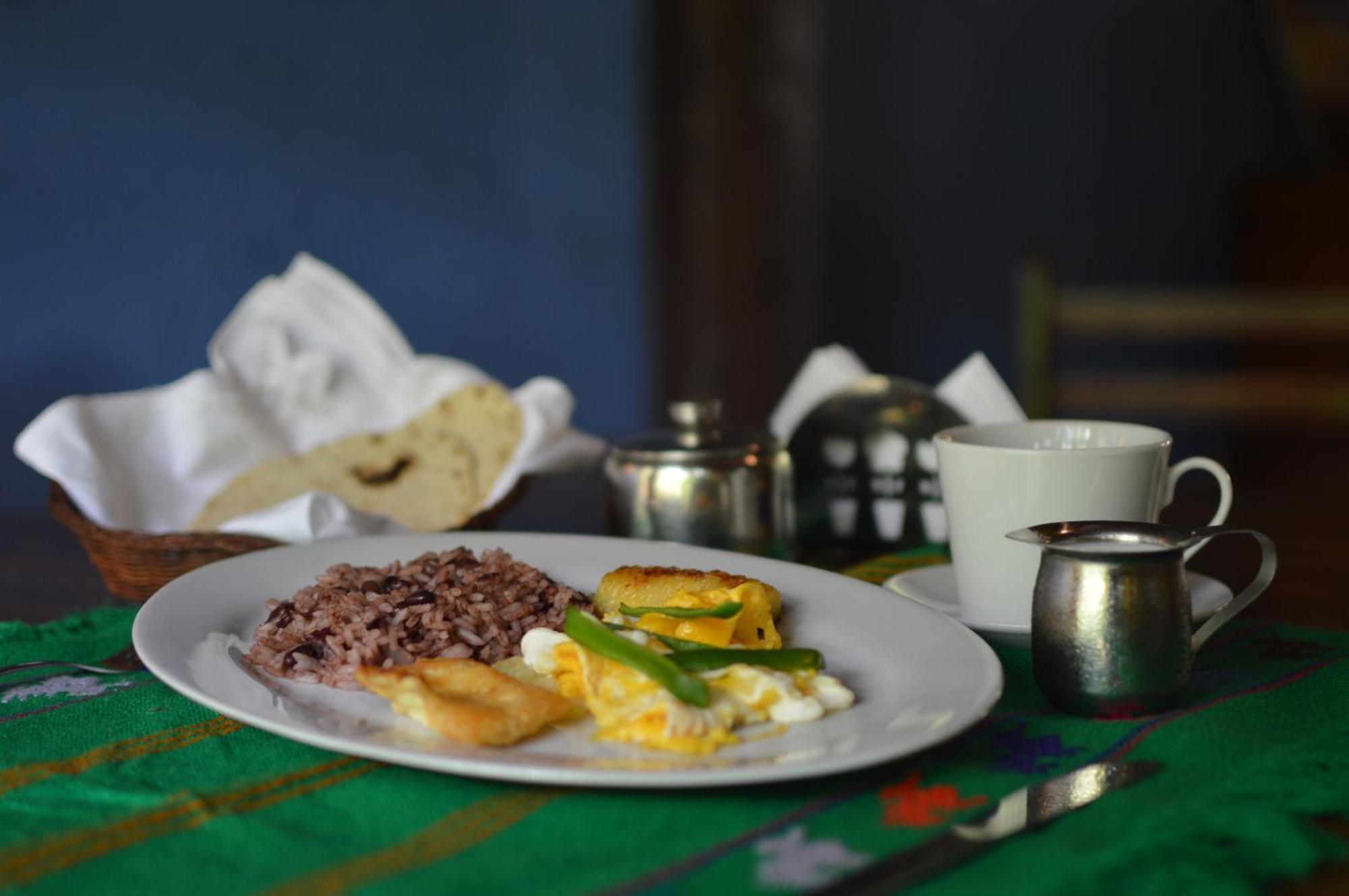 Hostal Fuente Castalia, B Y B León Kültér fotó